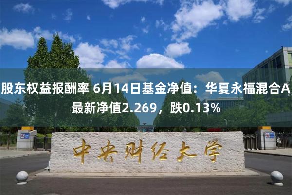 股东权益报酬率 6月14日基金净值：华夏永福混合A最新净值2.269，跌0.13%