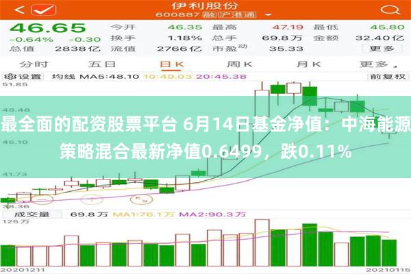 最全面的配资股票平台 6月14日基金净值：中海能源策略混合最新净值0.6499，跌0.11%