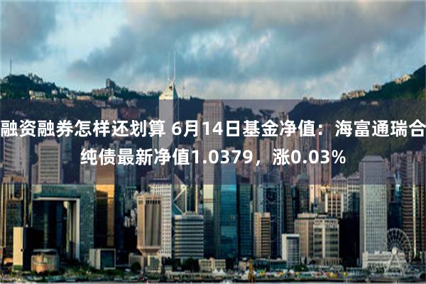 融资融券怎样还划算 6月14日基金净值：海富通瑞合纯债最新净值1.0379，涨0.03%