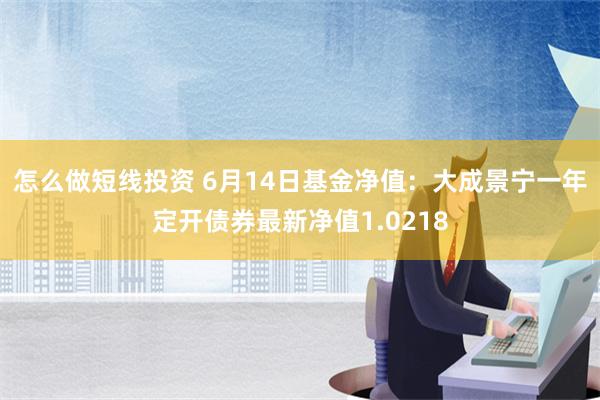 怎么做短线投资 6月14日基金净值：大成景宁一年定开债券最新净值1.0218