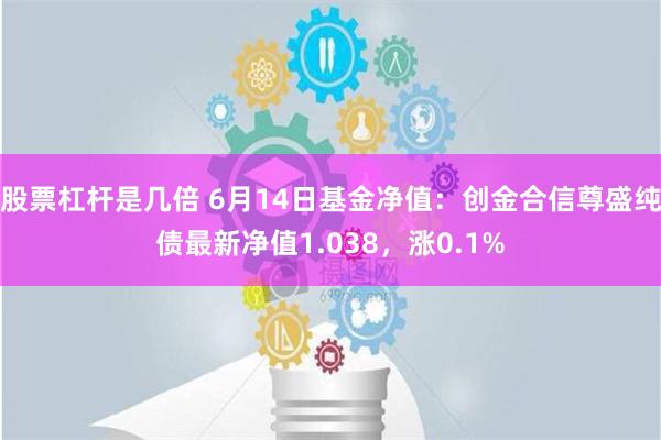 股票杠杆是几倍 6月14日基金净值：创金合信尊盛纯债最新净值1.038，涨0.1%