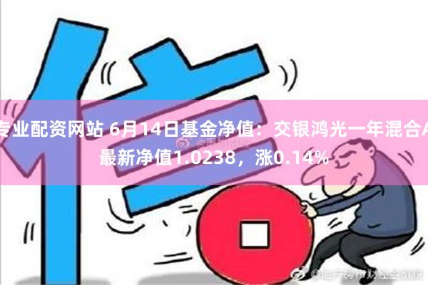 专业配资网站 6月14日基金净值：交银鸿光一年混合A最新净值1.0238，涨0.14%