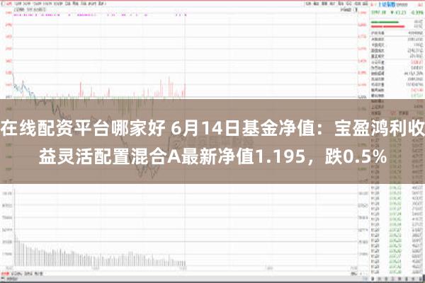 在线配资平台哪家好 6月14日基金净值：宝盈鸿利收益灵活配置混合A最新净值1.195，跌0.5%