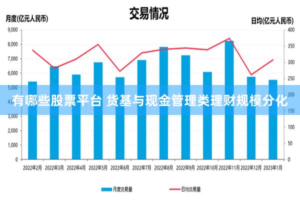 有哪些股票平台 货基与现金管理类理财规模分化