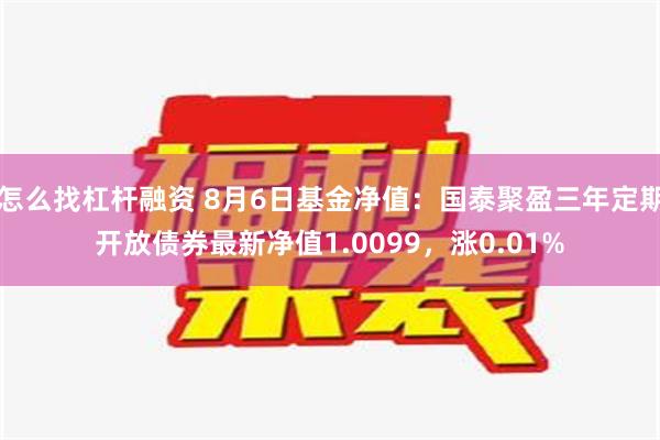 怎么找杠杆融资 8月6日基金净值：国泰聚盈三年定期开放债券最新净值1.0099，涨0.01%