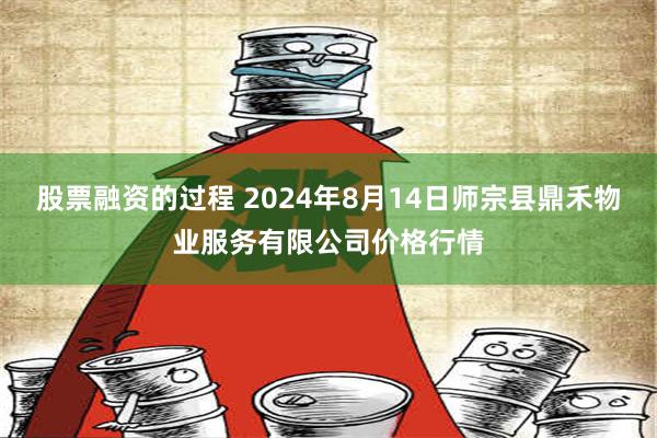 股票融资的过程 2024年8月14日师宗县鼎禾物业服务有限公司价格行情