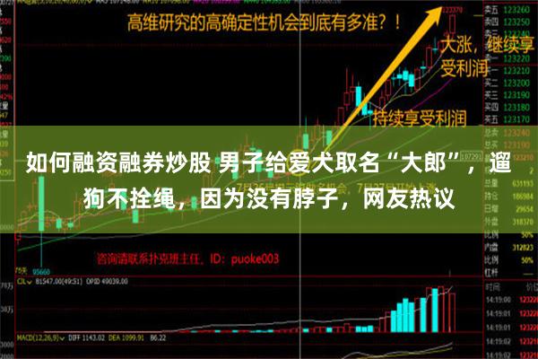 如何融资融券炒股 男子给爱犬取名“大郎”，遛狗不拴绳，因为没有脖子，网友热议