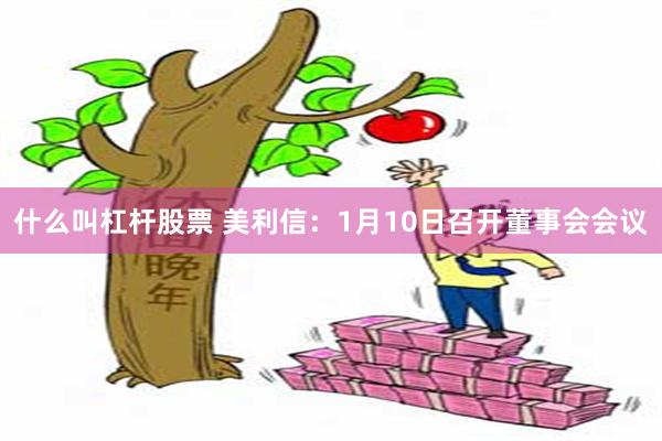 什么叫杠杆股票 美利信：1月10日召开董事会会议